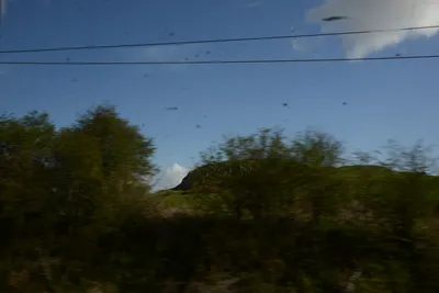 DSC_7221 (Large).JPG